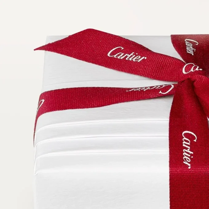 Cartier Libre Tuttitutti-pin