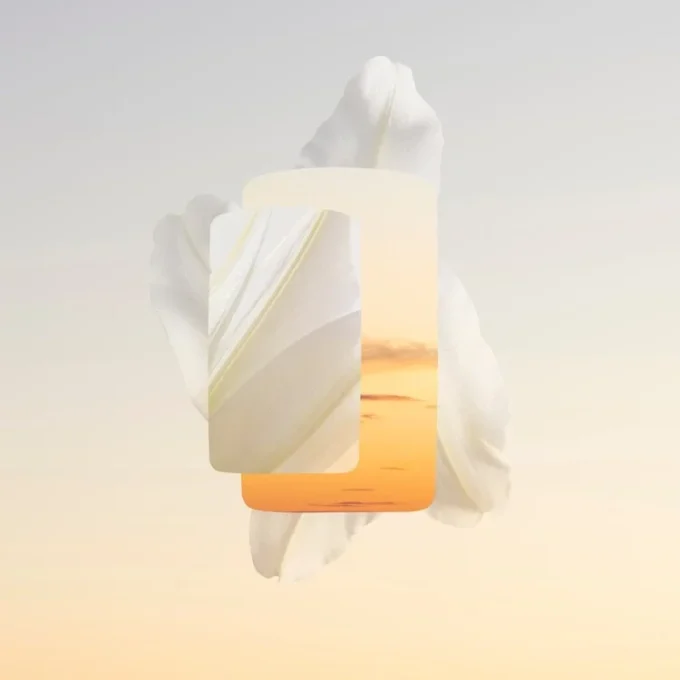 Lily Parfum – Baiser Vole | Cartier