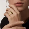 Panthere De Cartier-ring i gult gull og onyx | Cartier Us