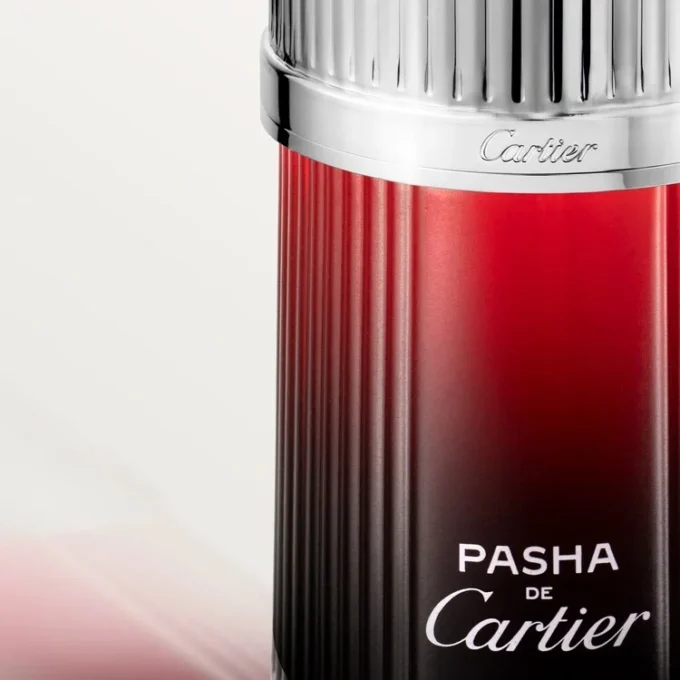 Pasha De Cartier Edition Noire Sport Pasha De Cartier Edition Noire Sport