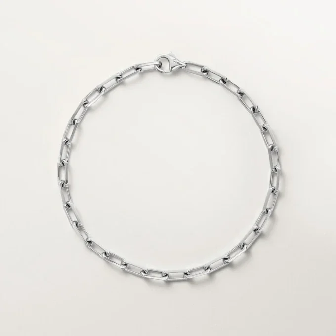Santos De Cartier armbånd, kjede, liten modell